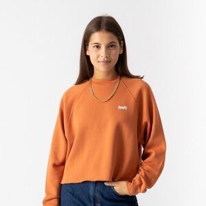 LEVIS-SWEAT CREW RAGLAN LAUNDRY  (Size:Small)